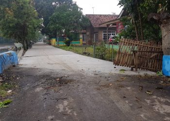 Perawatan Jembatan Kali Aren Asal Asalan