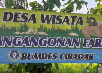 Soft Launcing Pangangonan Farm Bumdes Cibadak ( Hotel Ternak )