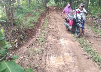Jalan Penghubung Desa Naglasari – Cogrek Di Biarkan Rusak