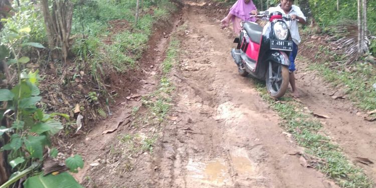 Jalan Penghubung Desa Naglasari – Cogrek Di Biarkan Rusak