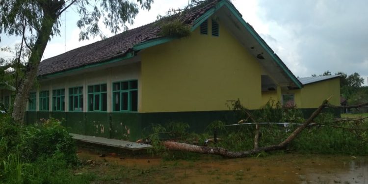 Akibat Hujan Deras Disertai Angin Kencang Bangunan Sekolah Tertimpa Pohon Selong