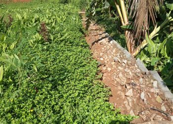 Baru Di Bangun,  TPT Lapang Desa Sirnajaya Ambruk