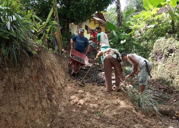 Budaya Semut Warga Gunungjantra  Patut Dapatkan Acungan Jempol