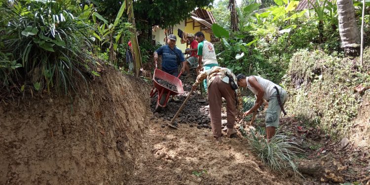Budaya Semut Warga Gunungjantra  Patut Dapatkan Acungan Jempol
