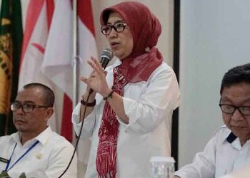 Pertimbangan Jitu Kunci Kelolosan PPDB 2019