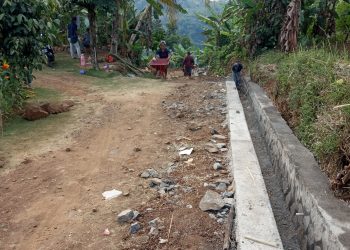 Program Pisew Dongkrak Ekonomi Masyarakat Daerah