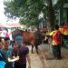 Ketiga Kalinya, Warga Pendidikan SDN Galunggung Tasikmalaya Berqurban