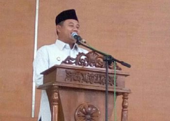 Wagub Jabar Apresiasi Seminar Jurnalis IWO di Kabupaten Purwakarta