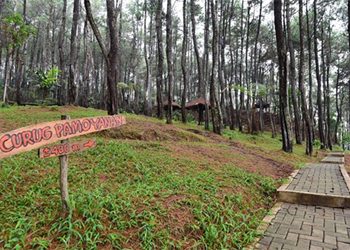 Pemprov Jabar Serius Dorong Sektor Pariwisata di Perdesaan