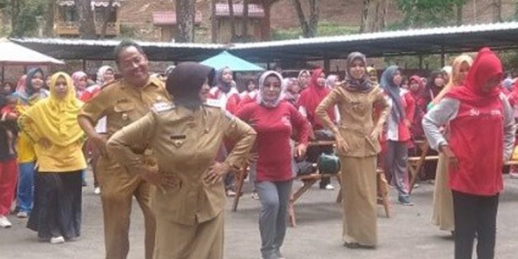 Walikota Banjar Apresiasi Peringatan HUT HIMPAUDI Kota Banjar Ke-14