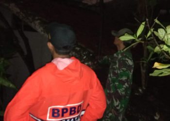 Rumah Ibu Enok Tertimpa Pohon Tumbang, Aparat Setempat dan BPBD Sigap Berikan Bantuan