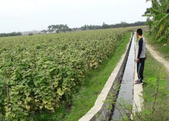 Desa Rengasdengklok Utara Karawang Giat Berbenah, Bangun Drainase Manfaatkan Dana Desa