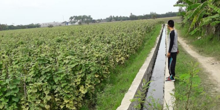 Desa Rengasdengklok Utara Karawang Giat Berbenah, Bangun Drainase Manfaatkan Dana Desa