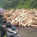 Di Gentong Tasikmalaya, Mobil Truk Bermuatan Kayu Terguling Meniban Mobil Ertiga