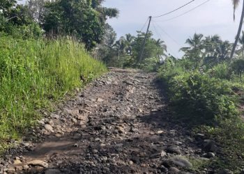 Keluhan Menahun Warga Mandalamekar Atas Kondisi Jalan Yang Sejak Lama Rusak Parah