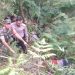 Diduga Kuat Korban Pembunuhan, Mayat Misterius Dilempar Ke Jurang Tanjakan Tajur Taraju Tasikmalaya