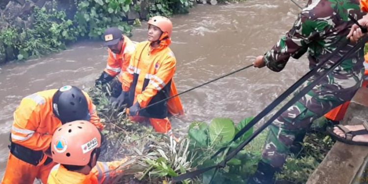 BPBD Bersama Koramil 1224/Cipedes Kota Tasikmalaya Sinergis Antisipasi Rawan Pohon Tumbang