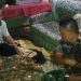 Saat Hujan-hujanan Alia Terpeleset Ke Kolam, Jiwanya Tak Tertolong