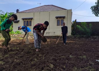 Santri Ponpes Mambaul Ullum Tamansari, Bercocok Tanam Mengisi Home Learning