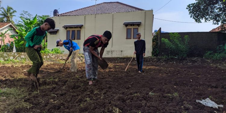 Santri Ponpes Mambaul Ullum Tamansari, Bercocok Tanam Mengisi Home Learning