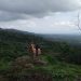 Bukit Batuka Desa Cijulang Memiliki Potensi Wisata Alam