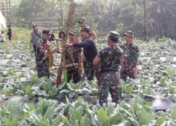 Koramil 1207/Csy Berpartisipasi Wujudkan Festival Kampung Kolecer Desa Cisayong Kabupaten Tasikmalaya