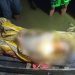 Madsurip Ditemukan Tewas Tengelam Di Rawa Pitik Pasirlawang