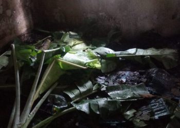 Diduga Akibat Hubungan Pendek Arus Listrik, Rumah Keluarga Karnen Kebakaran