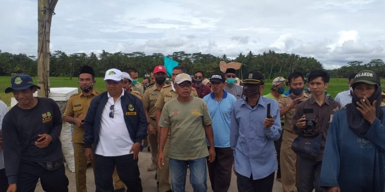 Wagub Jabar Tinjau Lokasi Rencana Pembangunan Jembatan dan Embung di Lakbok Ciamis