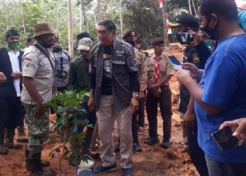 Peringati Hari Pohon Sedunia, Plt Walikota Tasikmalaya Tanam Pohon Di Hutan Urug Kawalu