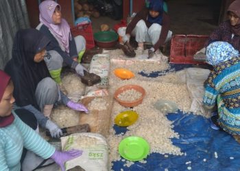 Meski Pandemi, Pengusaha Kolang Kaling Tasikmalaya Kewalahan Jelang Ramadhan