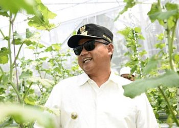 Wagub Jabar Apresiasi Panen Perdana Kebun Melon Rumah Tahfidz Syafaatul Qur’an Tamanhati