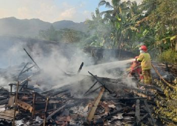 Si Jago Merah Luluh Lantakan Rumah Keluarga Lansia Sarimun