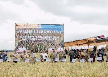 Bupati Ciamis Panen Raya Padi Hibrida Varietas 21 Di Desa Baregbeg Kecamatan Lakbok
