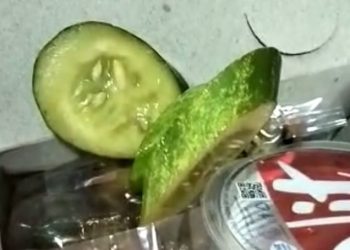 Nasi Box Serta Snack Yang Disuguhkan KPUD Kabupaten Karawang Beraroma Busuk