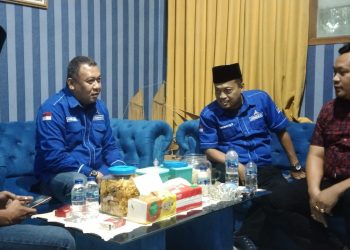 Emay Ahmad Maehi Jatuh Hati Ke Partai Demokrat