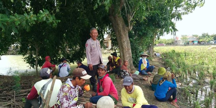 Ngawangkong Bersama Buruh Tani Tambak Sumur, Kanit Sabhara Polsek Tirtajaya Karawang Sampaikan Himbauan Kamtibmas