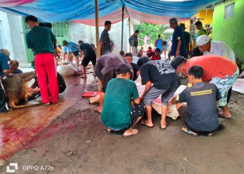 DKM Al Amin Bantargedang Cibeureum Sukses Gelar Penyembelihan 8 Ekor Sapi Qurban
