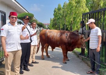 Ponpes Al- Baghdadi Karawang Sembelih Hewan Qurban Pemberian Prabowo Subianto