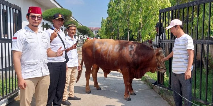 Ponpes Al- Baghdadi Karawang Sembelih Hewan Qurban Pemberian Prabowo Subianto