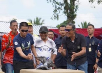 Lomba Merpati Tinggi Kapolda Jabar Cup 2023 Sukses