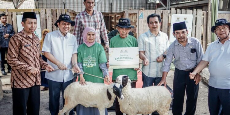 Wakil Bupati Ciamis Lounching Program Balai Ternak Baznas