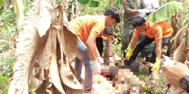 Karyawan RSUD Karawang Ditemukan Tewas Membusuk Di Kebun Pisang