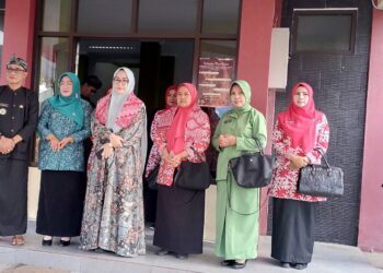 Ketua TP-PKK Kabupaten Tasikmalaya Laksanakan Binwil Di Kecamatan Cisayong