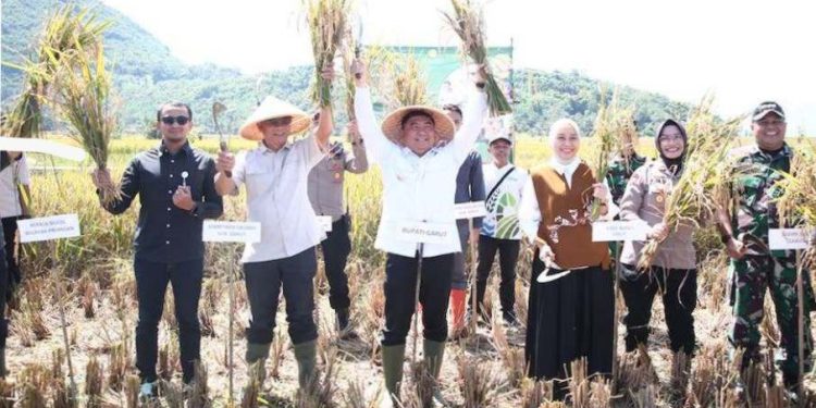 Bupati Garut Laksanakan Panen Raya Padi Serentak Nasional