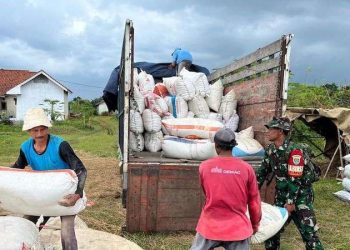 Stok Beras Jabar Aman, Penyerapan Gabah Bulognya Terbesar Nasional