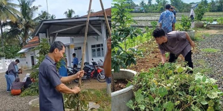 Panen Raya P5, SLB YPI Al-Maghfiroh Purwadadi Tanamkan Nilai Pancasila Lewat Berkebun