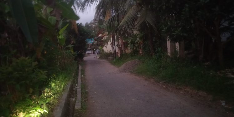 Dengan ADD Tahun Ini, Pemerintah Desa Sinartanjung Pataruman Kota Banjar Tingkatkan Kualitas Jalan Dusun Panjang Barat
