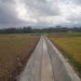 Petani Desa Waringinsari Ucapkan Terima Kasih Atas Hasil Pembangunan Saluran Irigasi Inpres