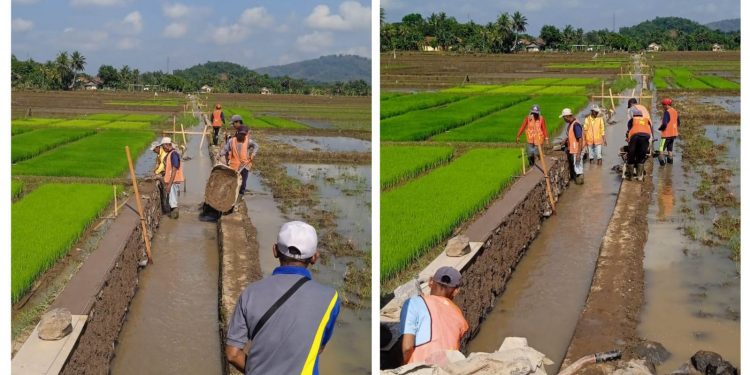Pembangunan Saluran Tersier Inpres di Desa Sinar Tanjung, Pataruman, Banjar Berjalan Lancar